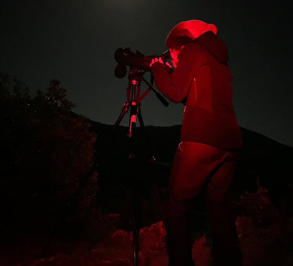 À l’État Pur : Bivouac & Immersion Nature en Drôme provençale