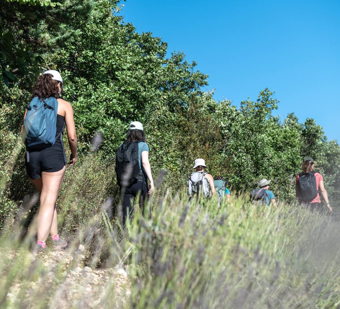 À l’État Pur : Bivouac & Immersion Nature en Drôme provençale