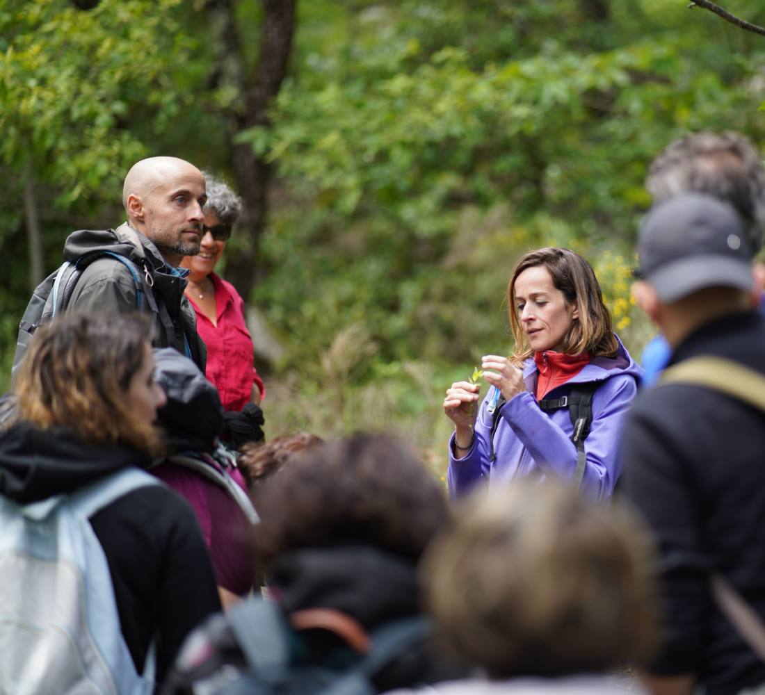 À l’État Pur : Bivouac & Immersion Nature en Drôme provençale