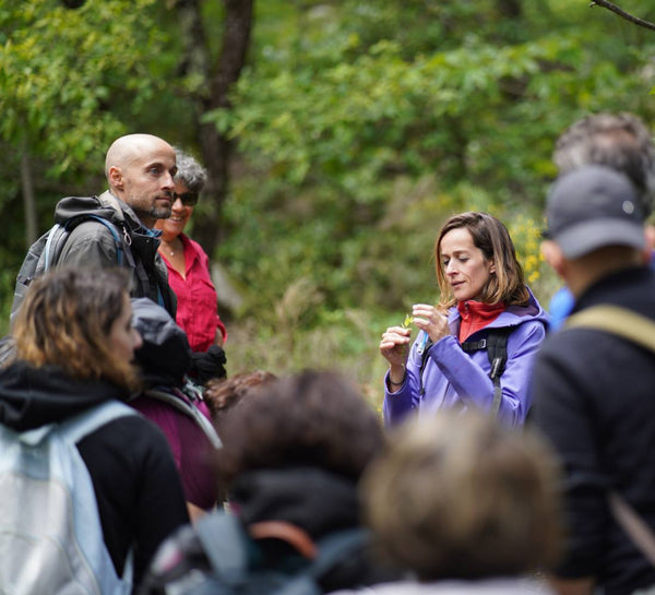 À l’État Pur : Bivouac & Immersion Nature en Drôme provençale