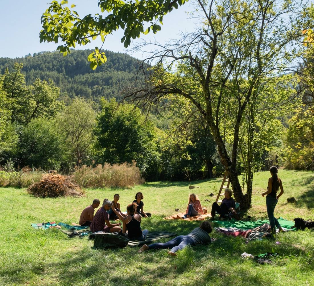 À l’État Pur : Bivouac & Immersion Nature en Drôme provençale