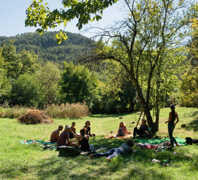 À l’État Pur : Bivouac & Immersion Nature en Drôme provençale