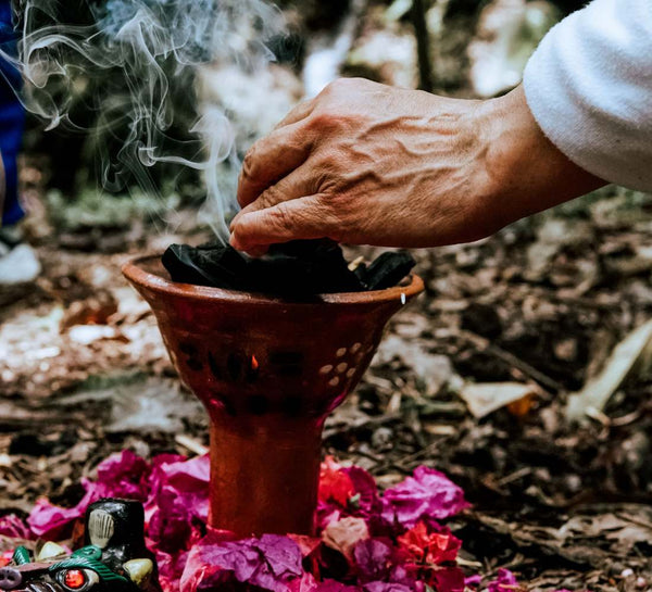 Le Brésil vibrant : entre Rio, nature et océan