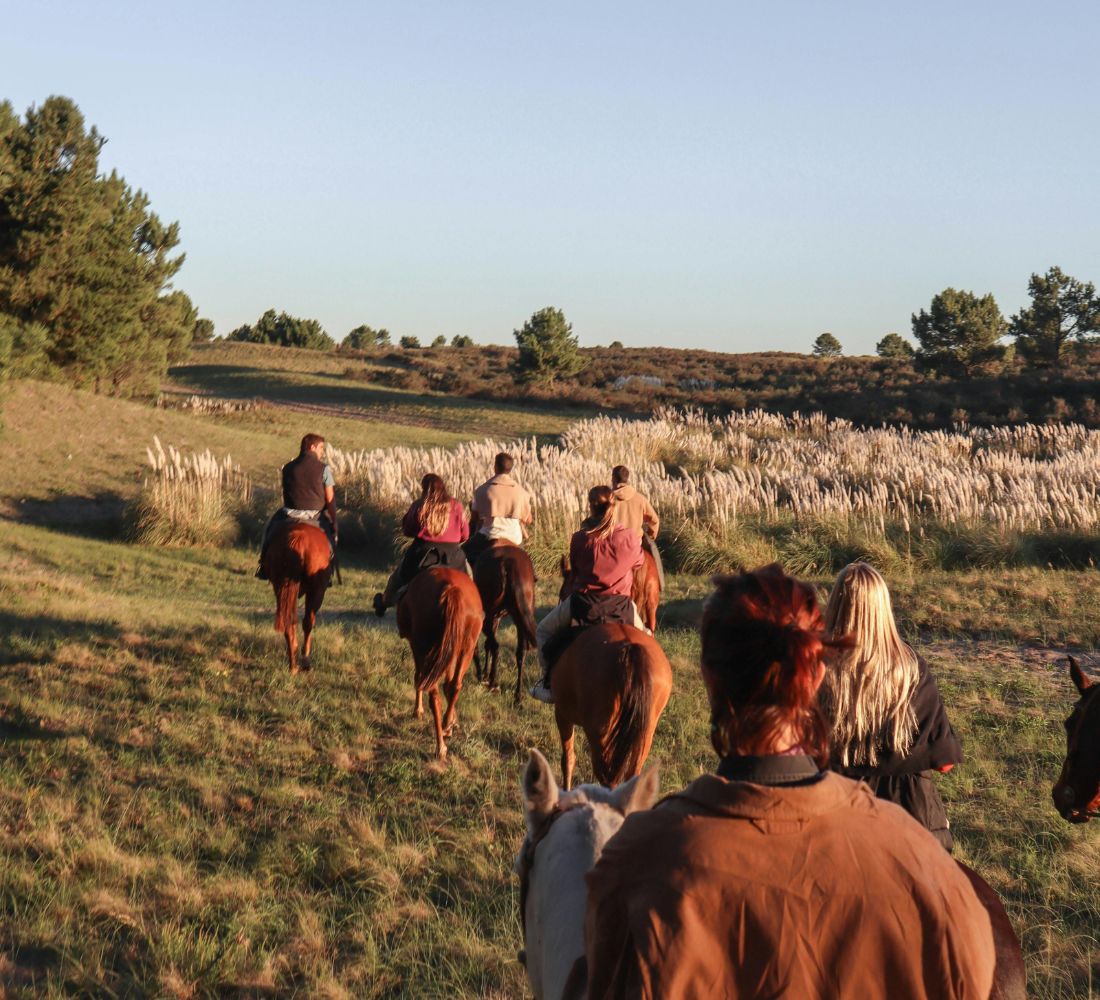 Séjour bien-être : Pilates, bains sonores et balade à cheval en Camargue