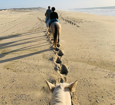 Séjour bien-être : Pilates, bains sonores et balade à cheval en Camargue