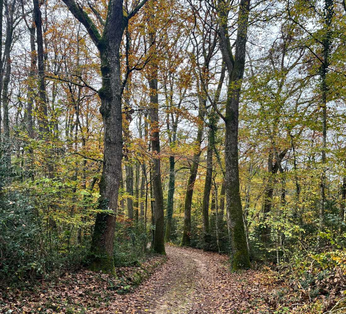 Retraite Yoga et Créativité dans la Vallée de la Loire