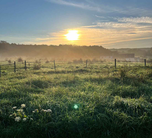 Retraite Yoga et Créativité dans la Vallée de la Loire