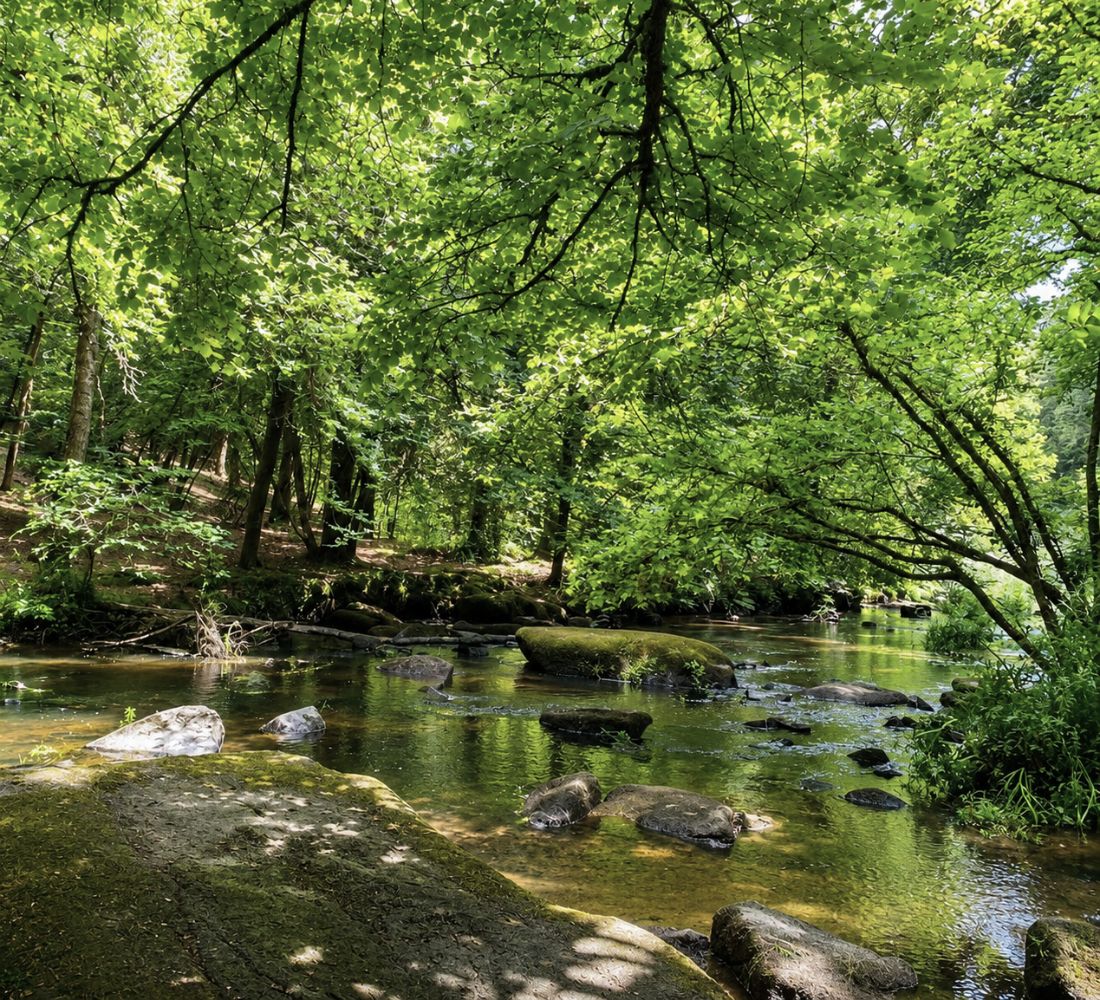 La Vraie Pause : Yoga & Ressourcement en Bretagne
