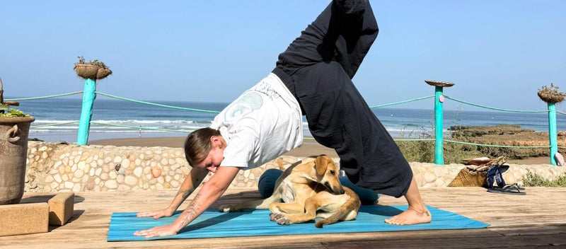 namastrip-agence-de-voyage-certifiee-namastrip-propose-des-sejours-bien-etre-en-france-et-a-l-39-etranger-animes-par-des-intervenantes-bien-etre-partez-dans-des-lieux-exceptionnels-selectionnes-avec-soin