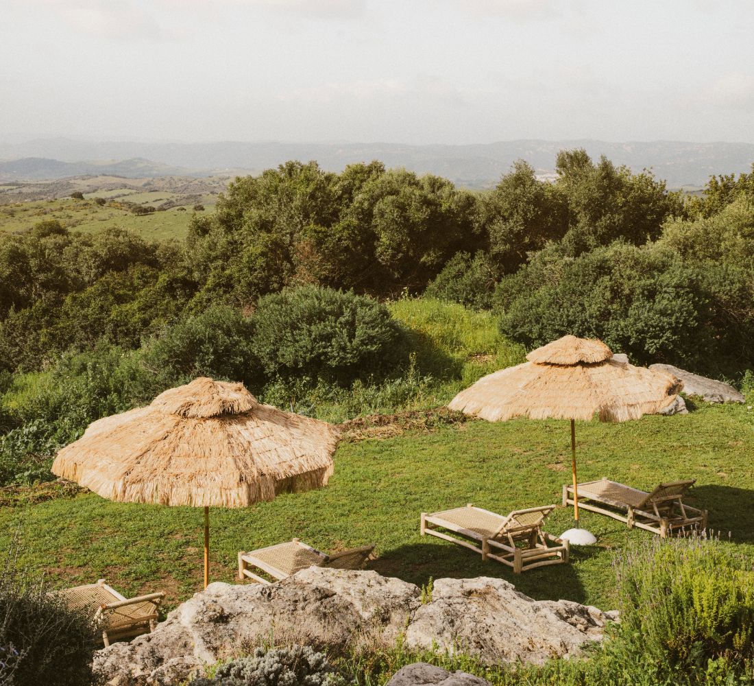 L’Évasion Andalouse : Yoga, Pilates & Énergie au cœur de la nature