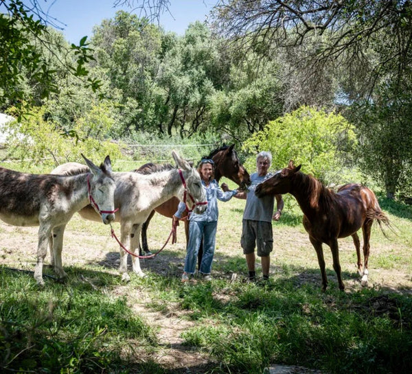 L’Évasion Andalouse : Yoga, Pilates & Énergie au cœur de la nature