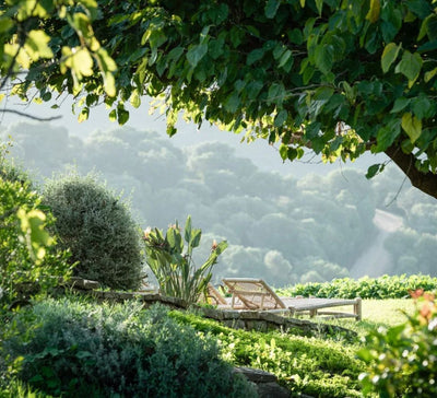 L’Évasion Andalouse : Yoga, Pilates & Énergie au cœur de la nature
