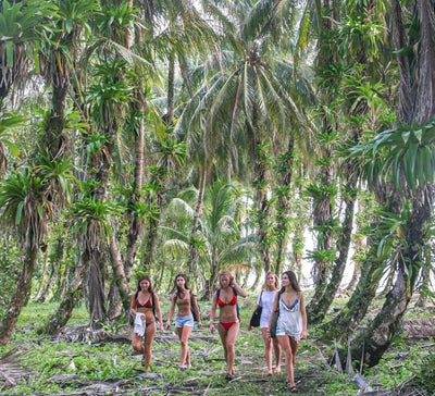 Au Cœur du Vivant : entre volcans, jungle et océan au Costa Rica