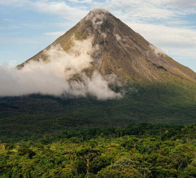 Au Cœur du Vivant : entre volcans, jungle et océan au Costa Rica