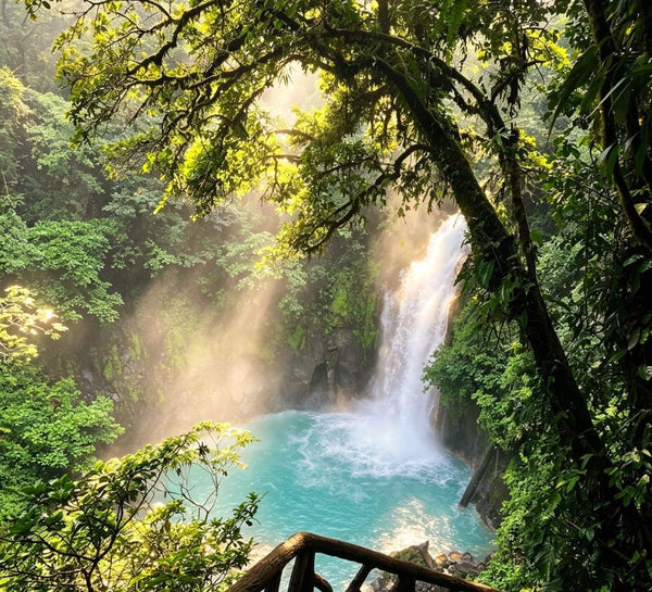 Au Cœur du Vivant : entre volcans, jungle et océan au Costa Rica