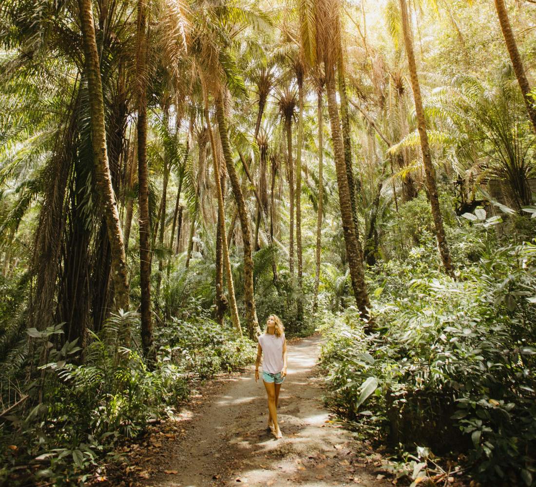 Au Cœur du Vivant : entre volcans, jungle et océan au Costa Rica