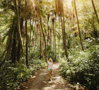 Au Cœur du Vivant : entre volcans, jungle et océan au Costa Rica