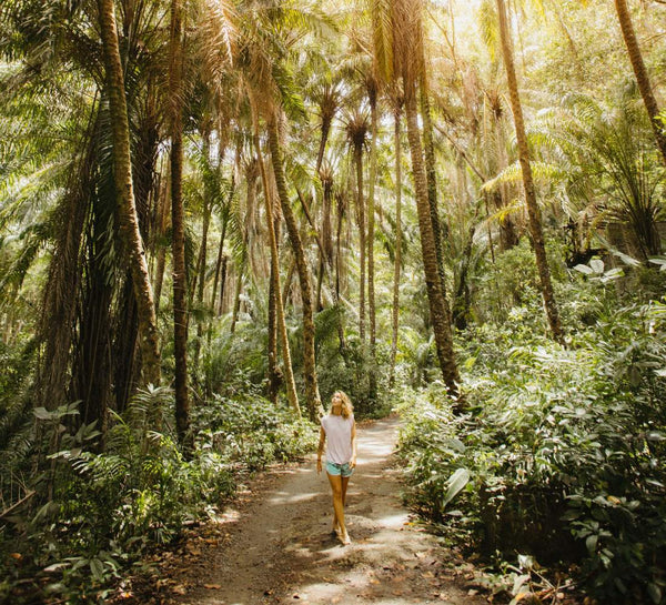 Au Cœur du Vivant : entre volcans, jungle et océan au Costa Rica