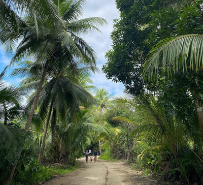 Au Cœur du Vivant : entre volcans, jungle et océan au Costa Rica