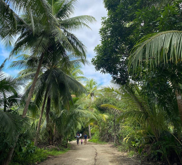 Au Cœur du Vivant : entre volcans, jungle et océan au Costa Rica