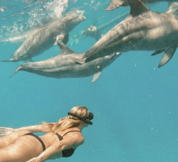 Soleil Tropical : Lagons & Immersion à l'île Maurice