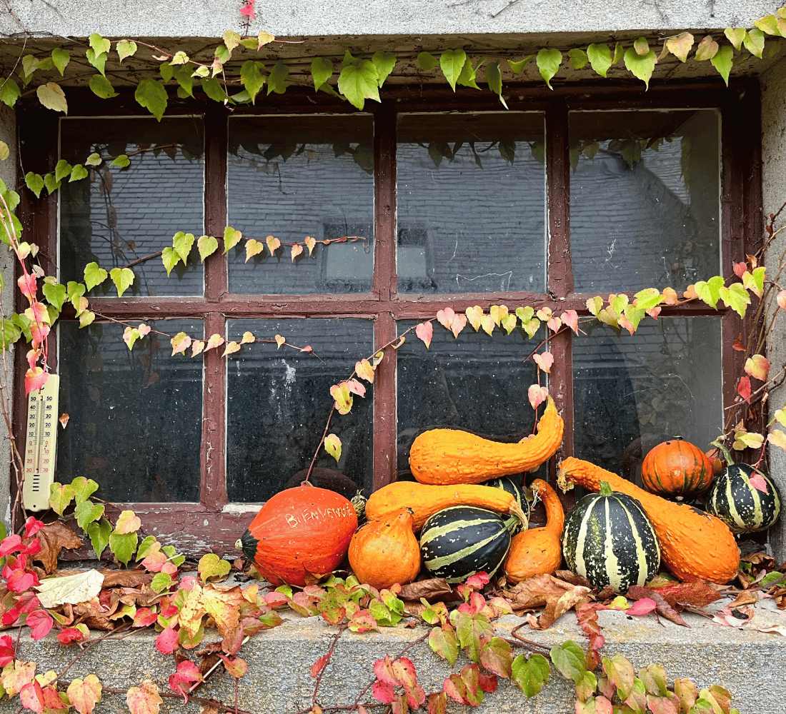 Week-end No Stress, Yoga et Cocooning en Sologne
