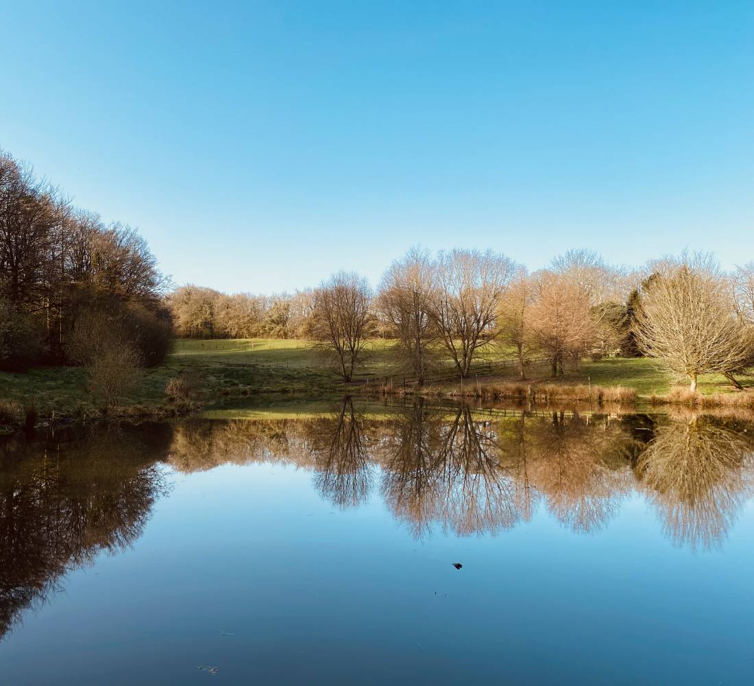 La Vraie Pause : Yoga & Ressourcement en Bretagne