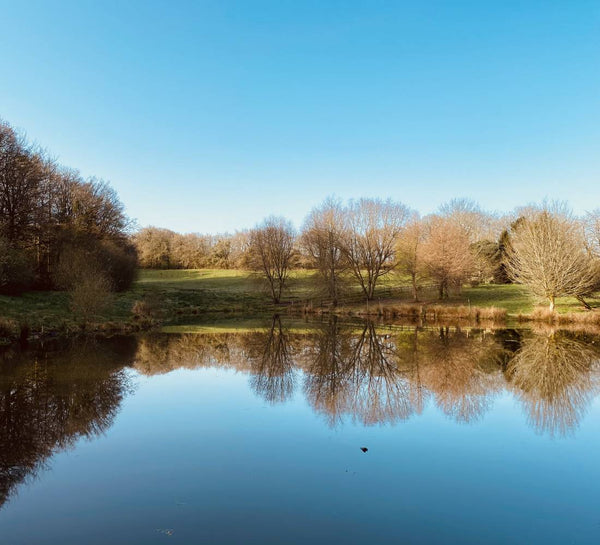La Vraie Pause : Yoga & Ressourcement en Bretagne