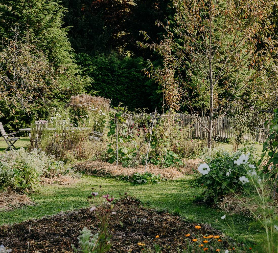 Réveillon Slow Life : Yoga, Nature & Lâcher - prise - Séjour proche paris