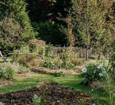 Réveillon Slow Life : Yoga, Nature & Lâcher - prise - Séjour proche paris