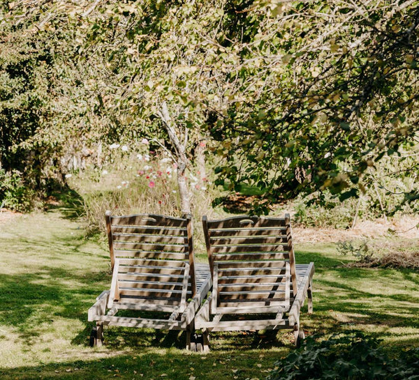 Réveillon Slow Life : Yoga, Nature & Lâcher - prise - Séjour proche paris