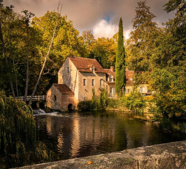 Retrouver le Calme : Yoga & Méditation dans le Perche