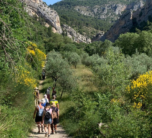 À l’État Pur : Immersion Nature et Reconnexion à Soi en Drôme provençale