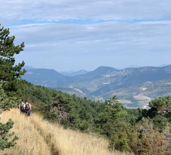À l’État Pur : Immersion Nature et Reconnexion à Soi en Drôme provençale