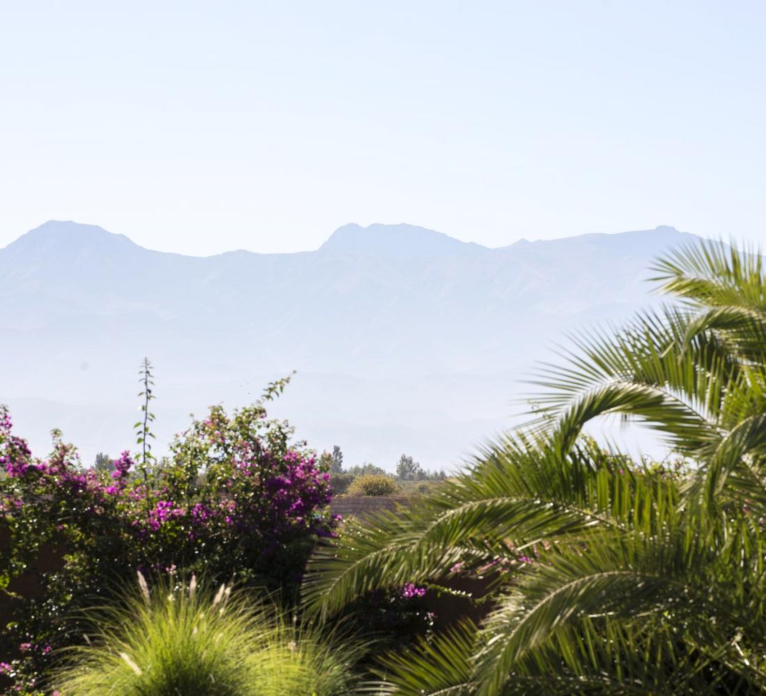 Expérience Marrakech : Yoga, Hammam & Bien - être face à l’Atlas - Séjour Maroc