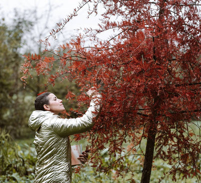 Retraite Yoga, Nature & Cocooning dans le Sud-Ouest