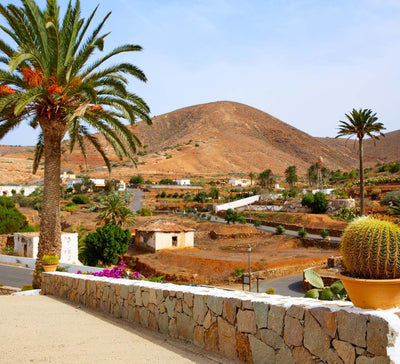 Fuerteventura • Yoga, volcans & océan