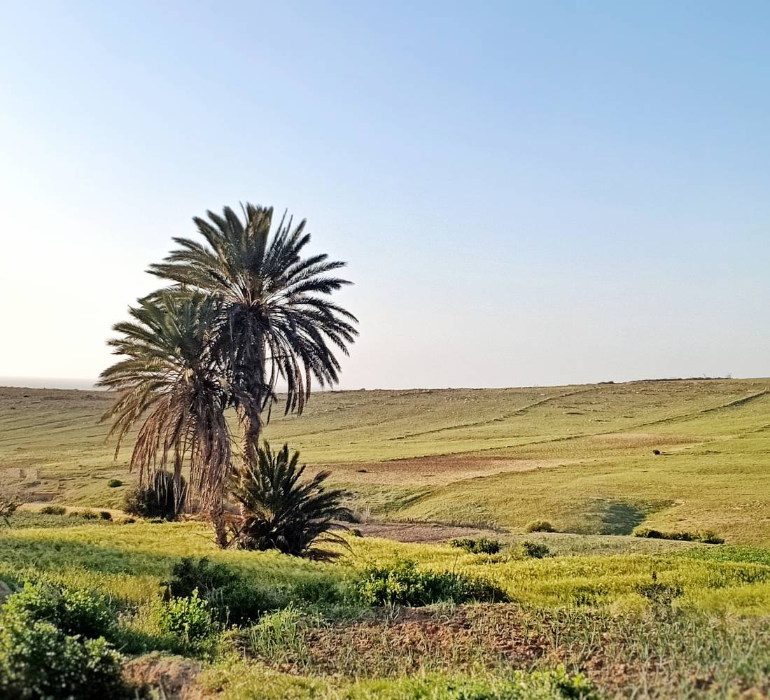 Nouvel an : Yoga & culture locale au Maroc - Séjour Maroc