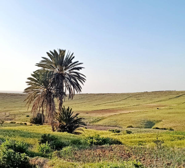 Nouvel an : Yoga & culture locale au Maroc - Séjour Maroc