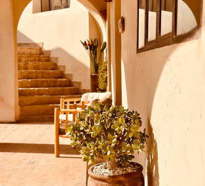 Nouvel an : Yoga & culture locale au Maroc - Séjour Maroc