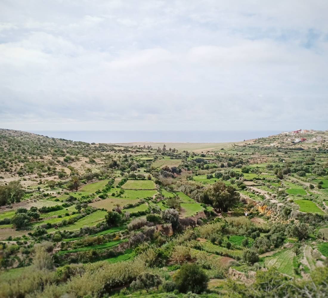 Nouvel an : Yoga & culture locale au Maroc - Séjour Maroc
