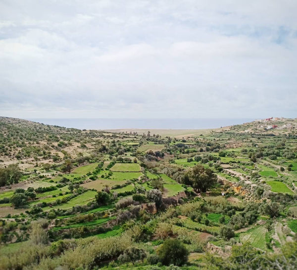 Nouvel an : Yoga & culture locale au Maroc - Séjour Maroc