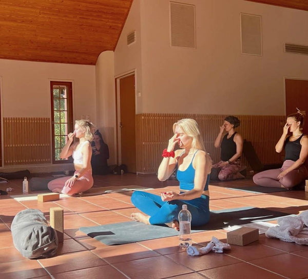 L’Été Heureux : Retraite nordique au bord d’un lac finlandais