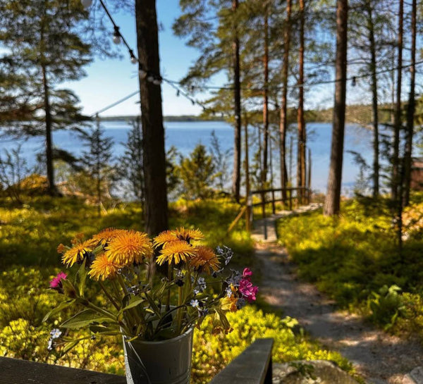 L’Été Heureux : Retraite nordique au bord d’un lac finlandais
