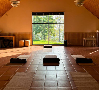 L’Été Heureux : Retraite nordique au bord d’un lac finlandais