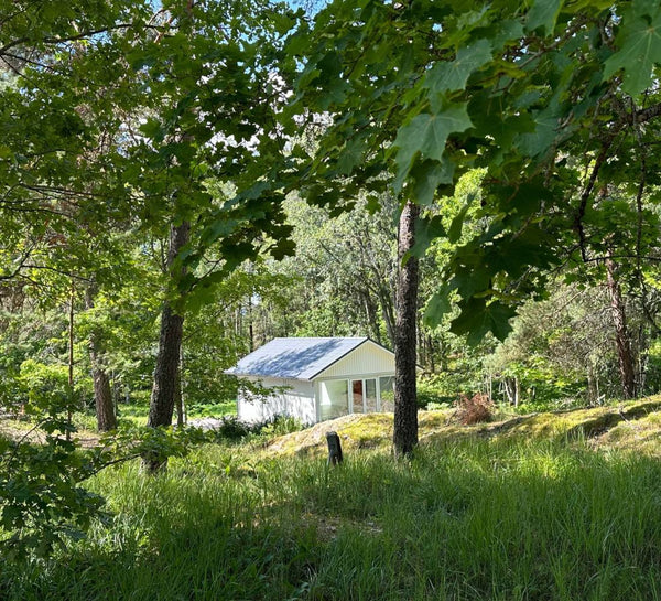 L’Été Heureux : Retraite nordique au bord d’un lac finlandais