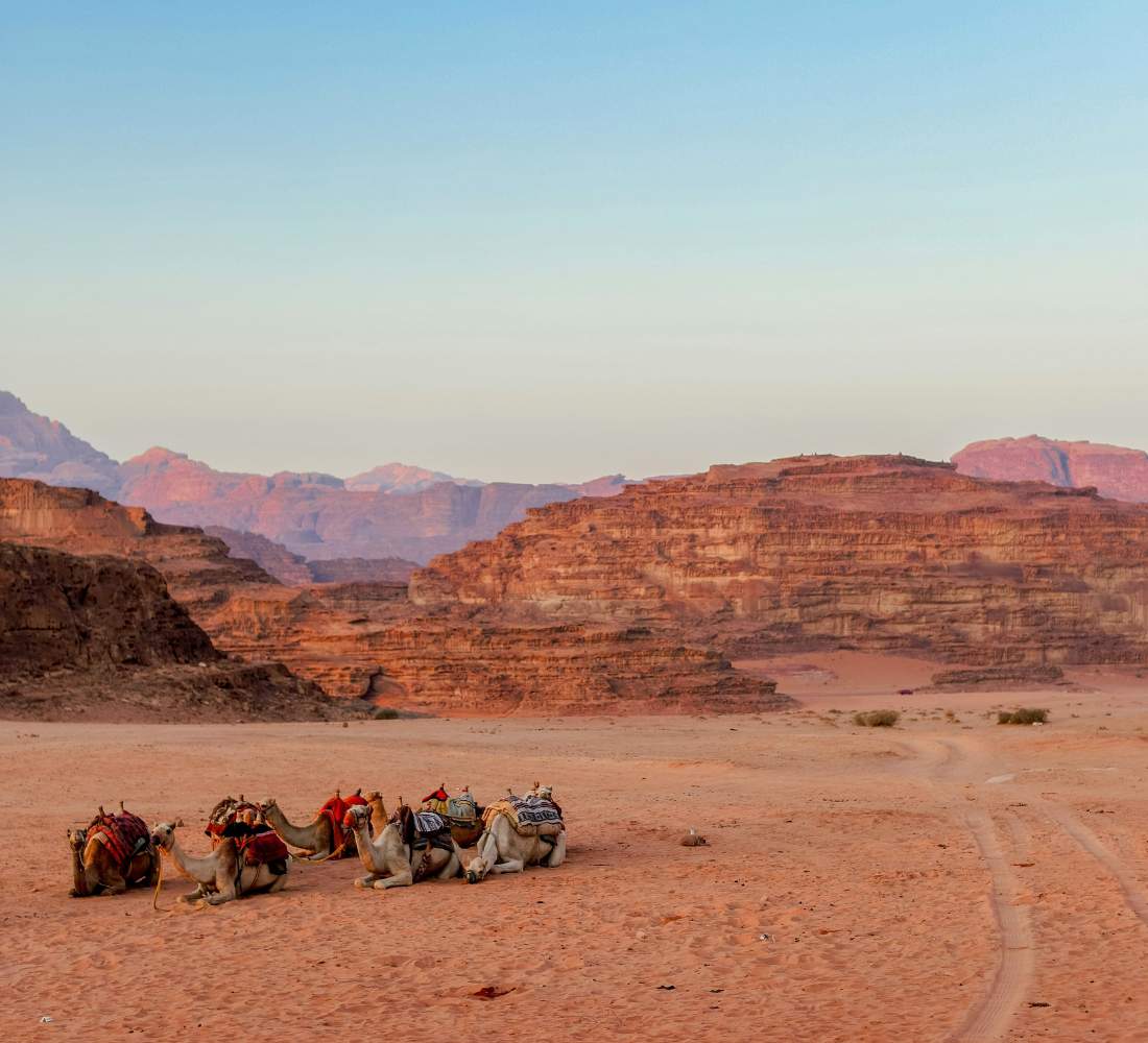 Jordanie • Petra, splendeurs du désert & mer Rouge