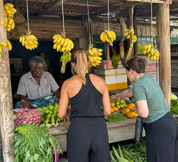 Inde du Sud • Ayurveda & exploration au cœur du Kerala