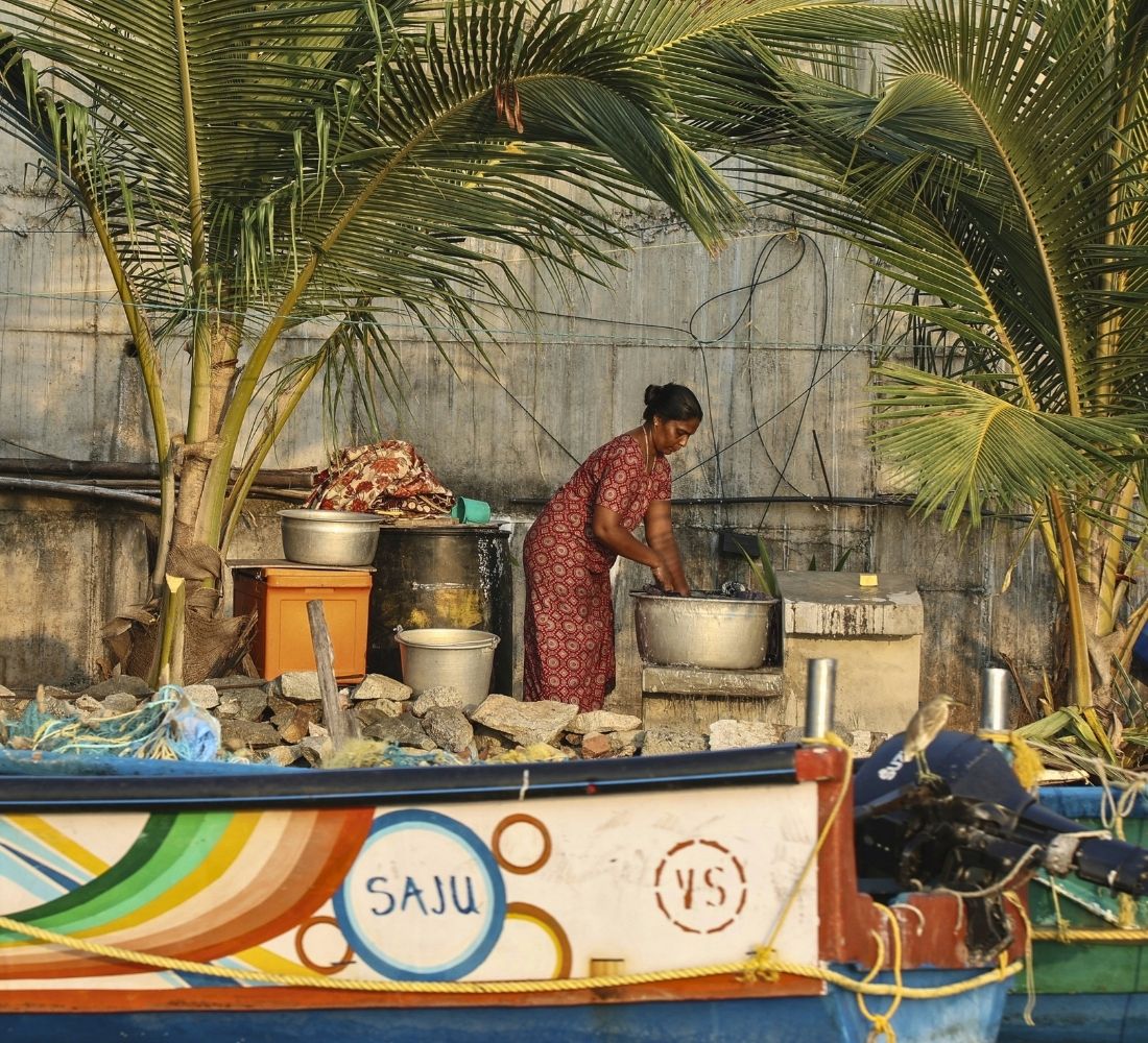 Inde du Sud • Ayurveda & exploration au cœur du Kerala