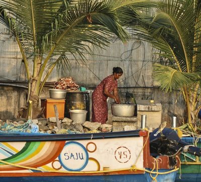 Inde du Sud • Ayurveda & exploration au cœur du Kerala